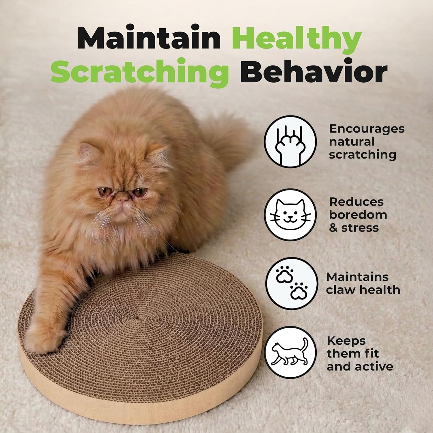 image:imageBest Pet Supplies Catify Cat Scratcher Fun Interactive Scratchers Posts Poles Claw Safe Furniture Saver Indoor Play Support Natural Cat Behaviors Heavy Duty Beige LogRound5 Pack