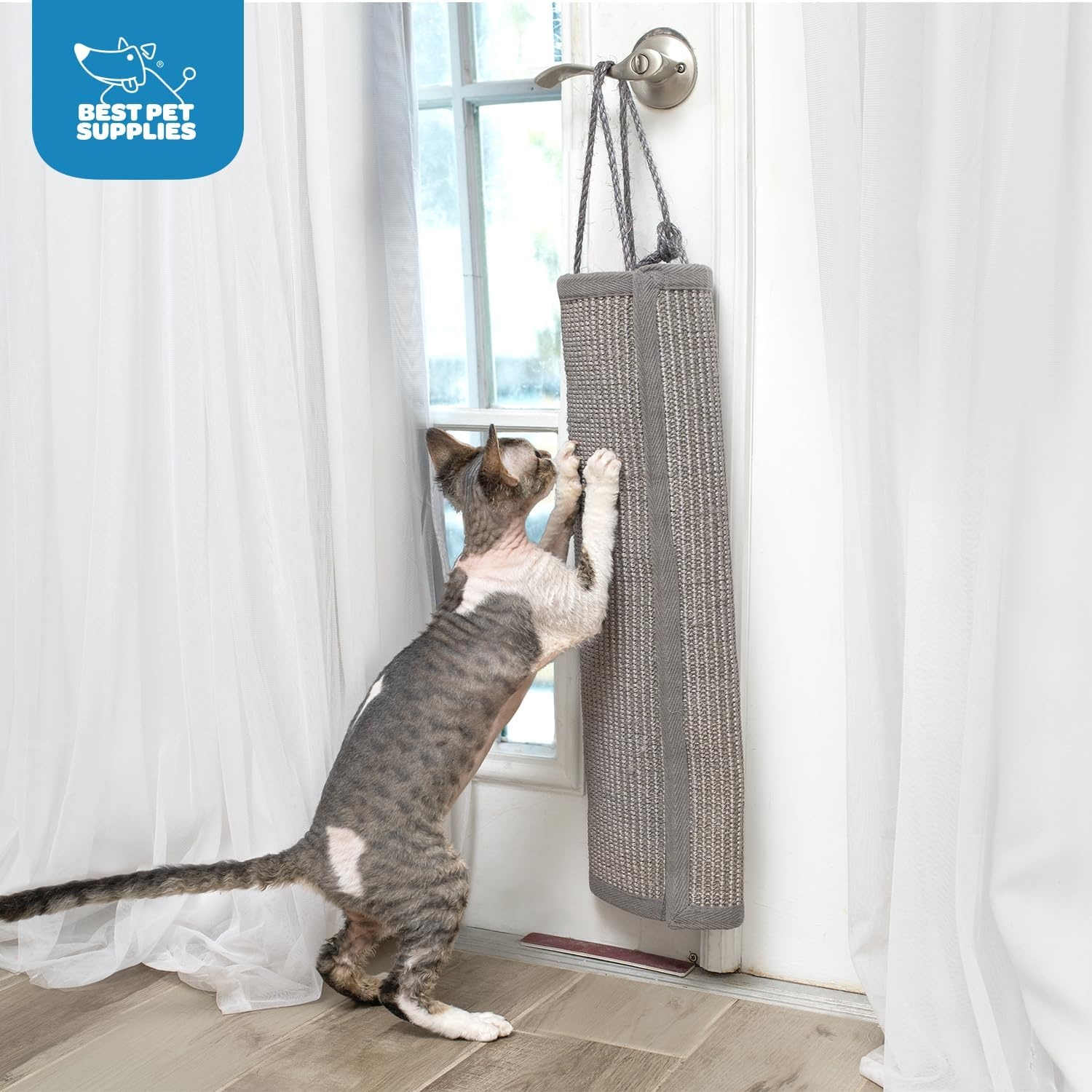 image:imageBest Pet Supplies Catify Cat Scratcher Fun Interactive Scratchers Posts Poles Claw Safe Furniture Saver Indoor Play Support Natural Cat Behaviors Heavy Duty Beige LogGray Log