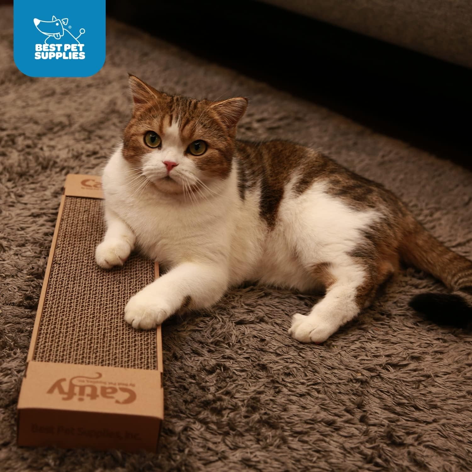 image:imageBest Pet Supplies Catify Cat Scratcher Fun Interactive Scratchers Posts Poles Claw Safe Furniture Saver Indoor Play Support Natural Cat Behaviors Heavy Duty Beige LogNarrow 4 Pack