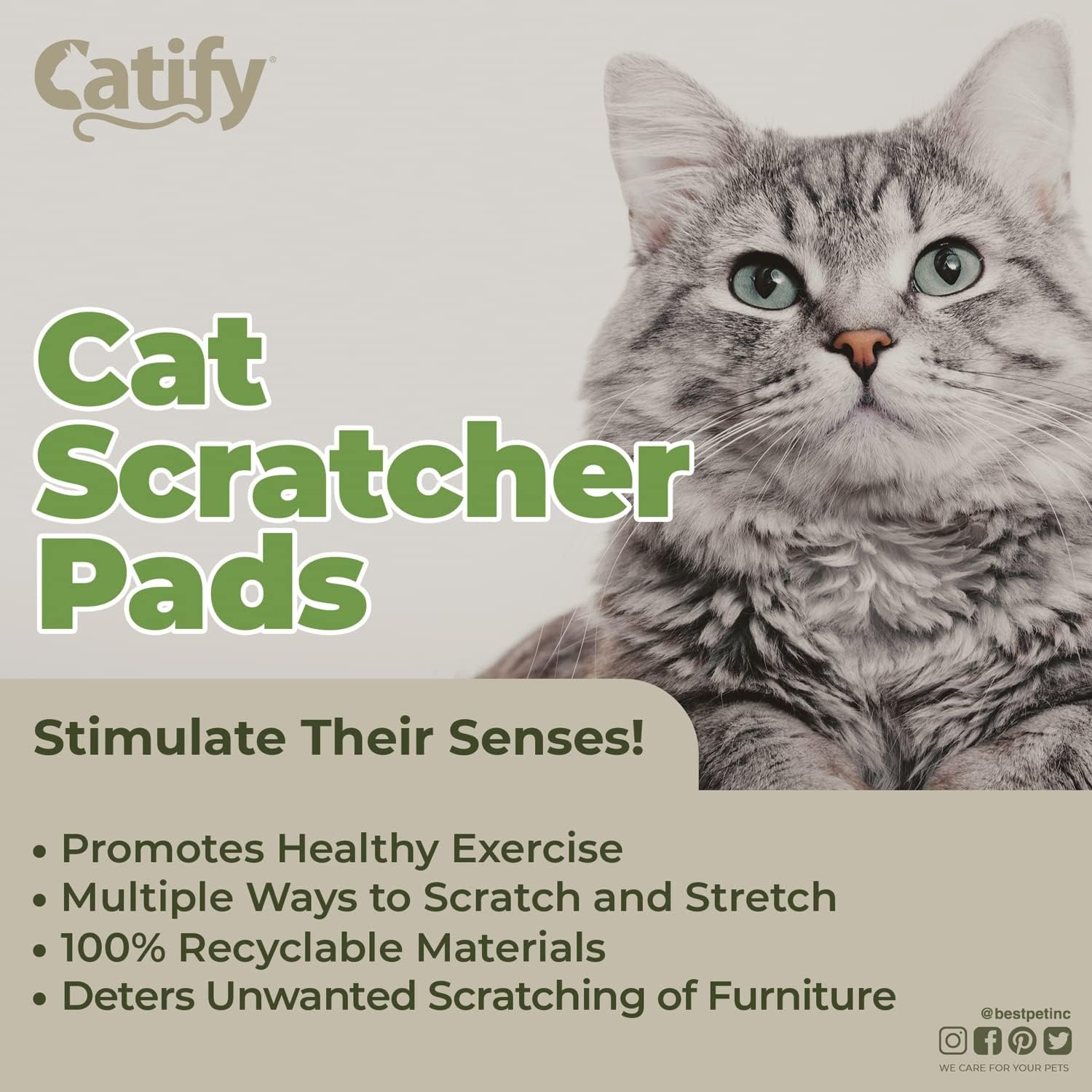 image:imageBest Pet Supplies Catify Cat Scratcher Fun Interactive Scratchers Posts Poles Claw Safe Furniture Saver Indoor Play Support Natural Cat Behaviors Heavy Duty Beige LogNarrow 4 Pack